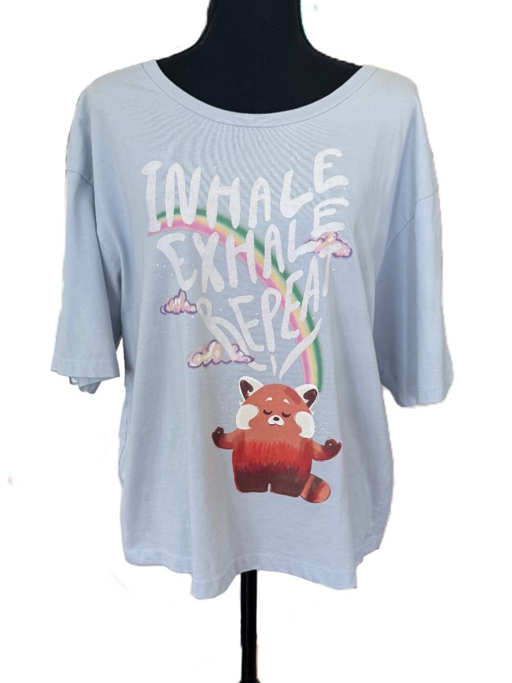 Disney | Baby Blue Panda Mei T-Shirt | Turning Red | XL